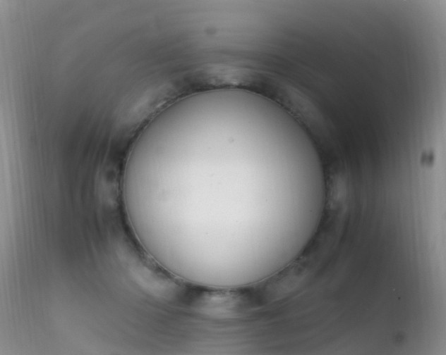 X0000112210414200908141502