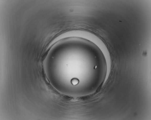 X0000112210415200908141502