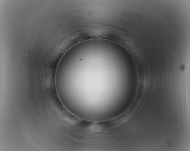 X0000112210416200908141502