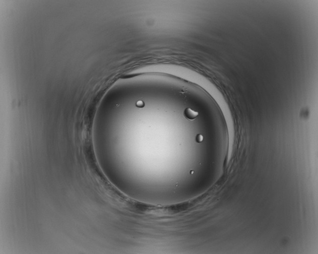 X0000112210417200908141502