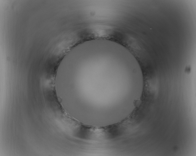 X0000112210419200908141502