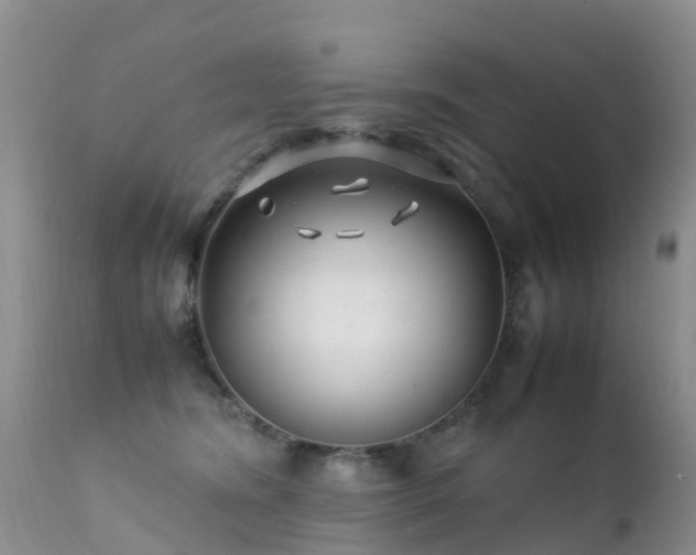 X0000112210420200908141502