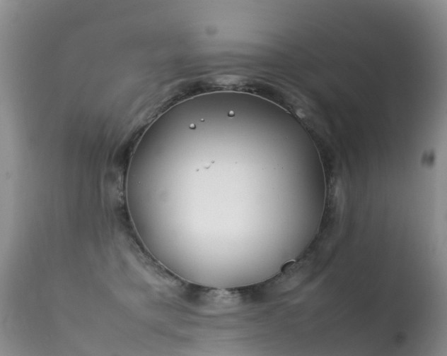 X0000112210421200908141502