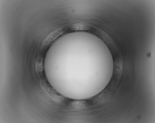 X0000112210422200908141502