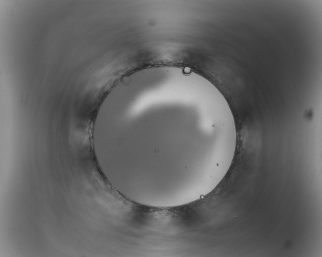 X0000112210423200908141502