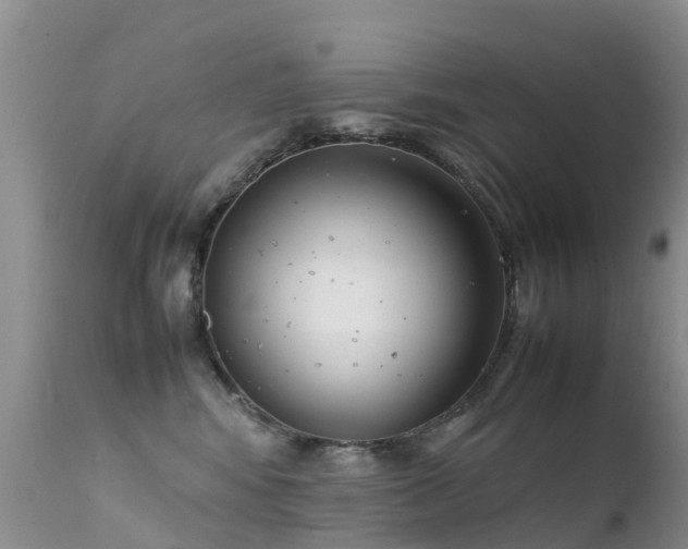 X0000112210424200908141502