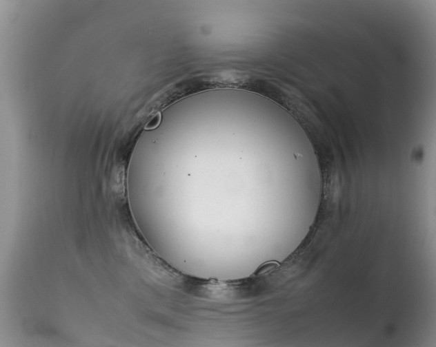 X0000112210425200908141502