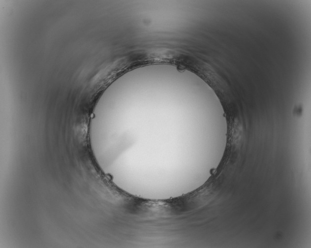 X0000112210427200908141502