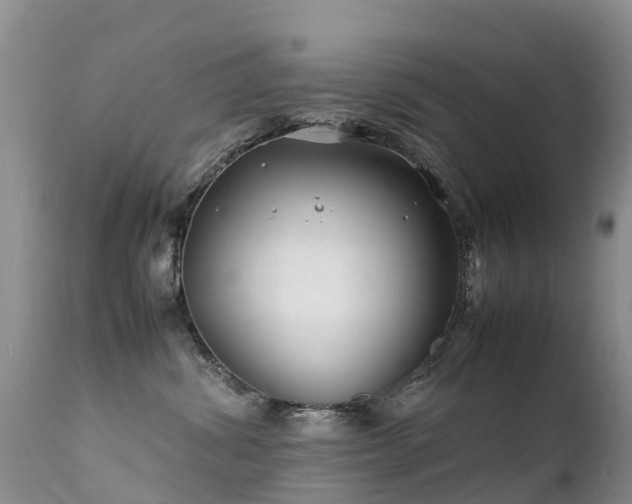 X0000112210428200908141502