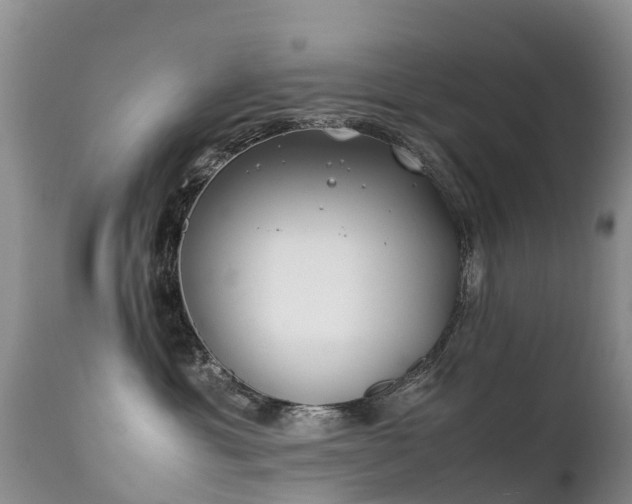 X0000112210429200908141502