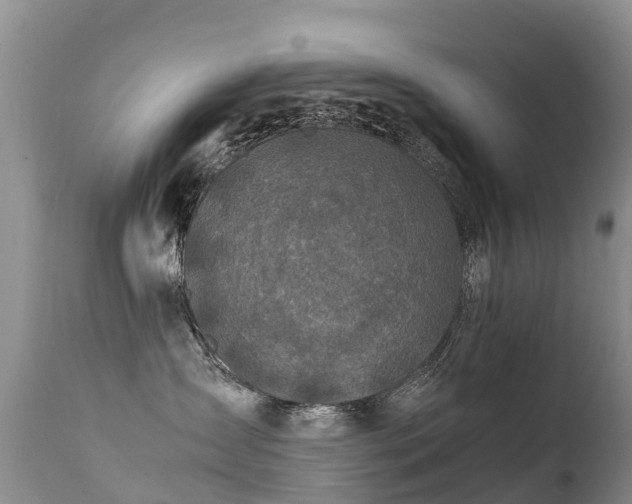 X0000112210431200908141502