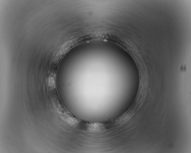 X0000112210432200908141502