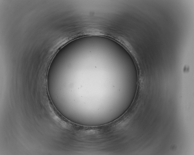 X0000112210433200908141501