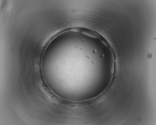 X0000112210434200908141501