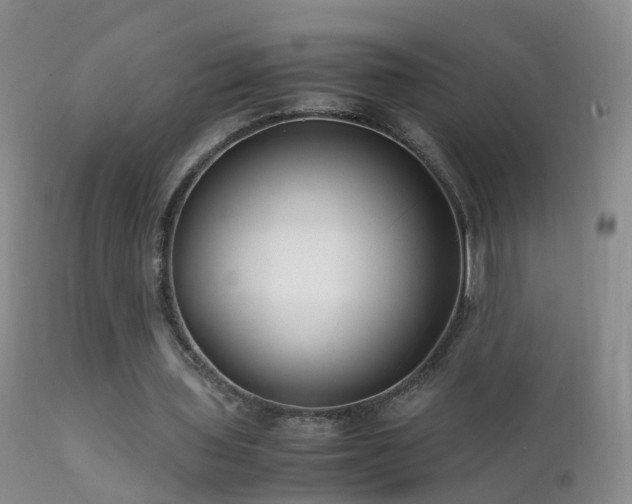 X0000112210435200908141501