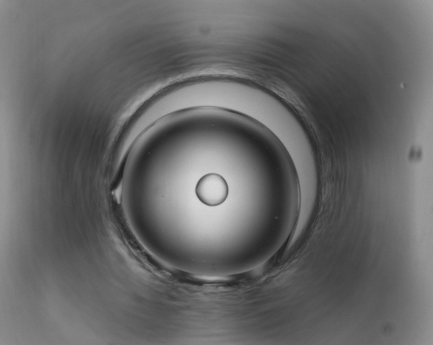 X0000112210436200908141501