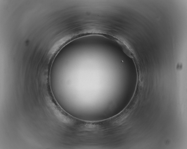 X0000112210437200908141501