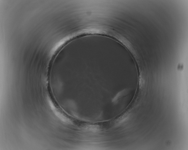 X0000112210438200908141502