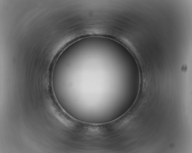 X0000112210439200908141502