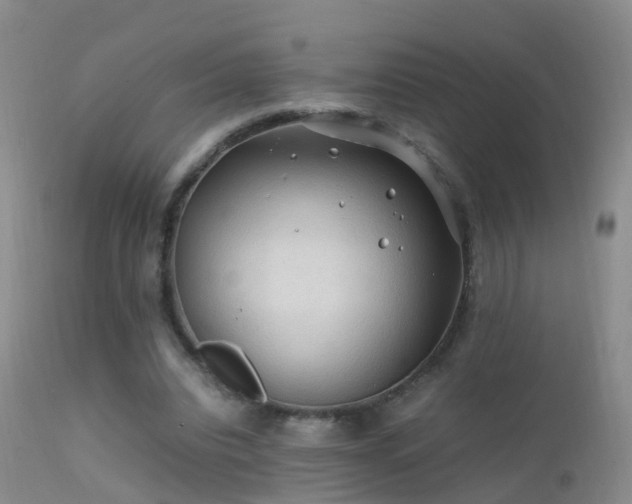 X0000112210440200908141502