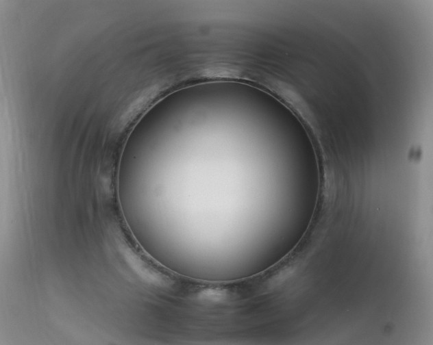 X0000112210441200908141502