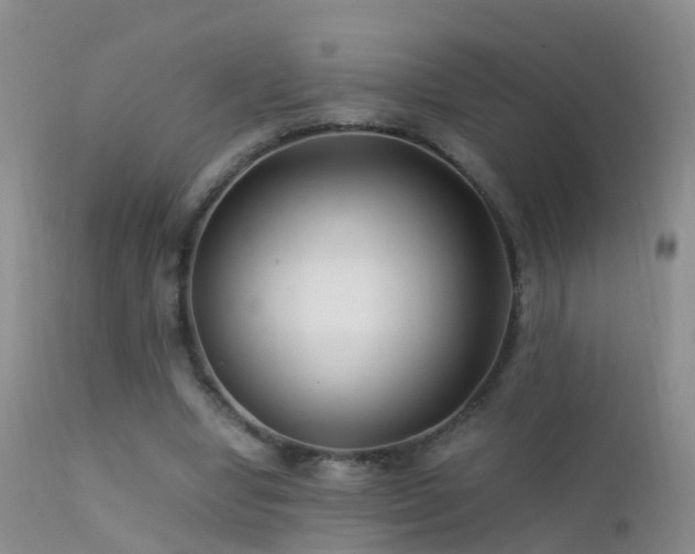 X0000112210442200908141502