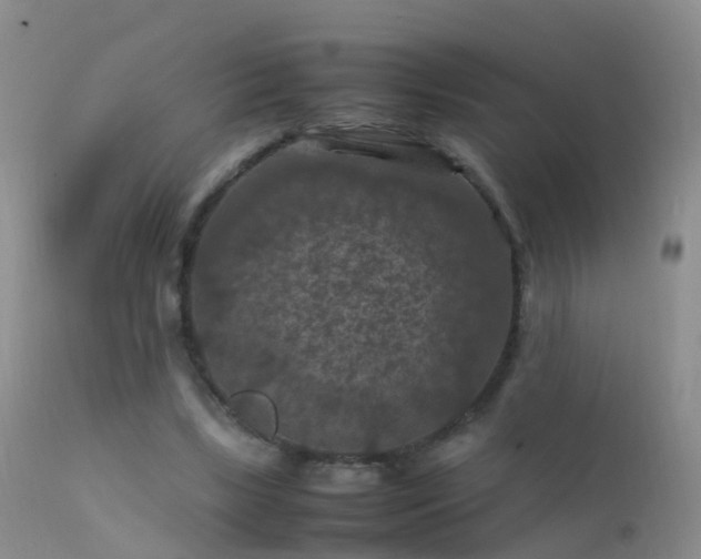 X0000112210443200908141502