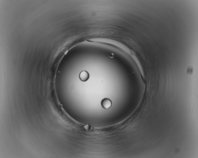 X0000112210444200908141502