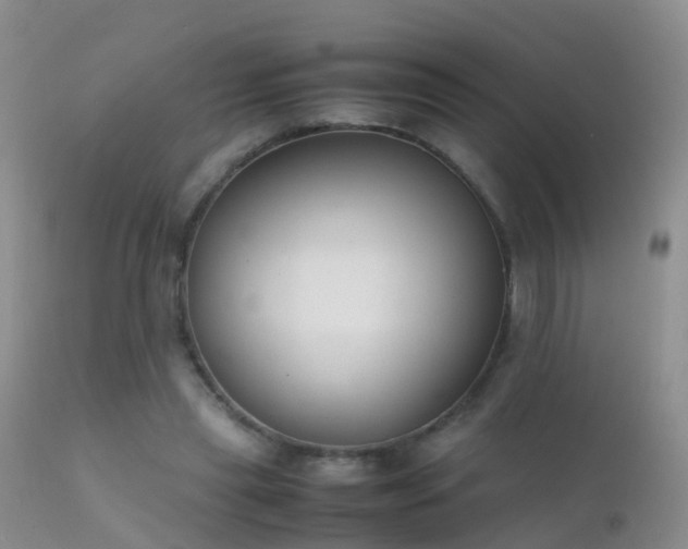 X0000112210445200908141502