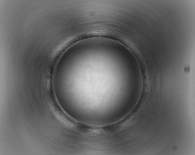 X0000112210446200908141502