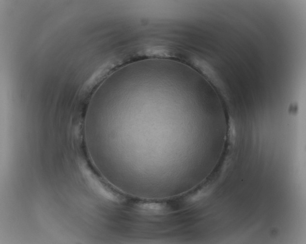 X0000112210449200908141502