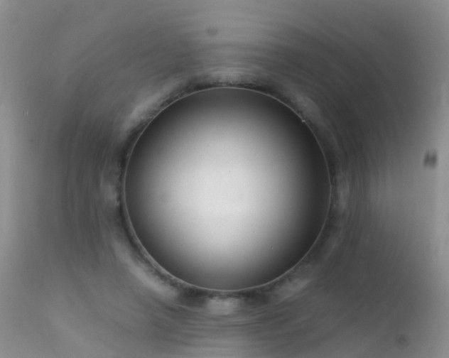 X0000112210450200908141502