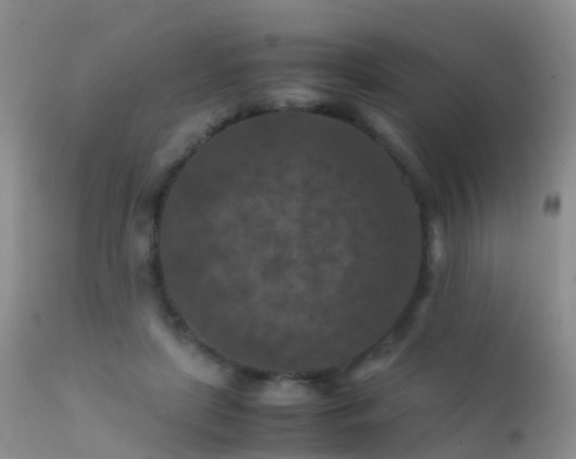 X0000112210451200908141502