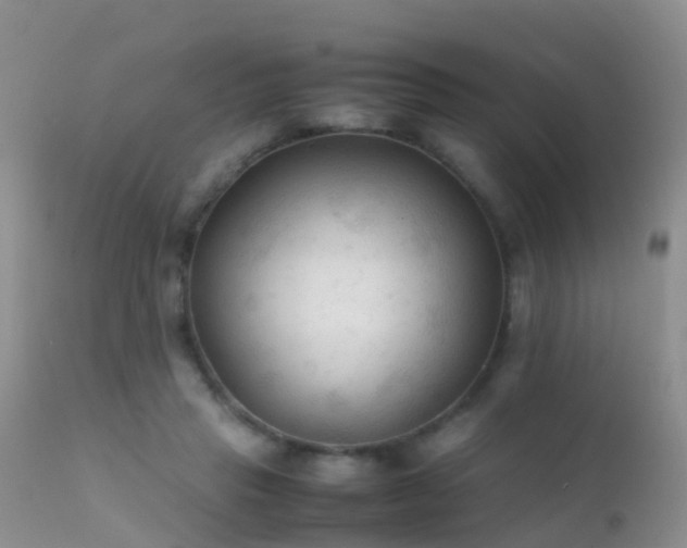 X0000112210453200908141502