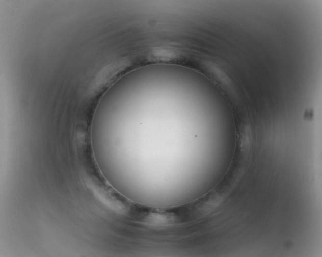 X0000112210455200908141502