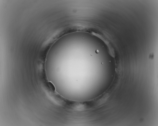 X0000112210456200908141502