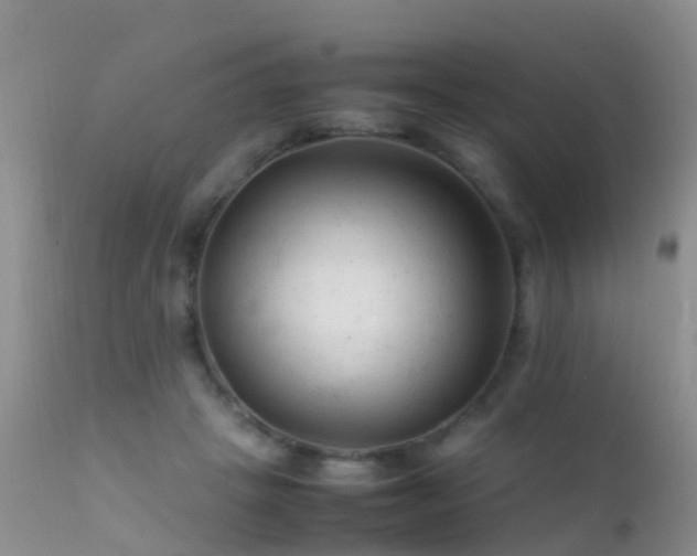 X0000112210457200908141502