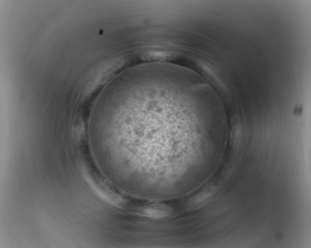 X0000112210459200908141502