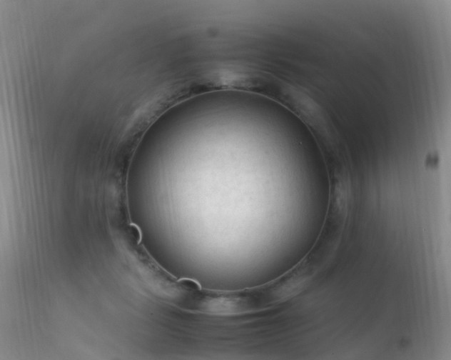 X0000112210461200908141502