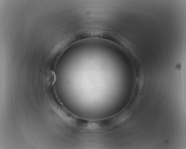 X0000112210462200908141502