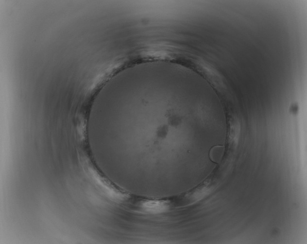 X0000112210465200908141502