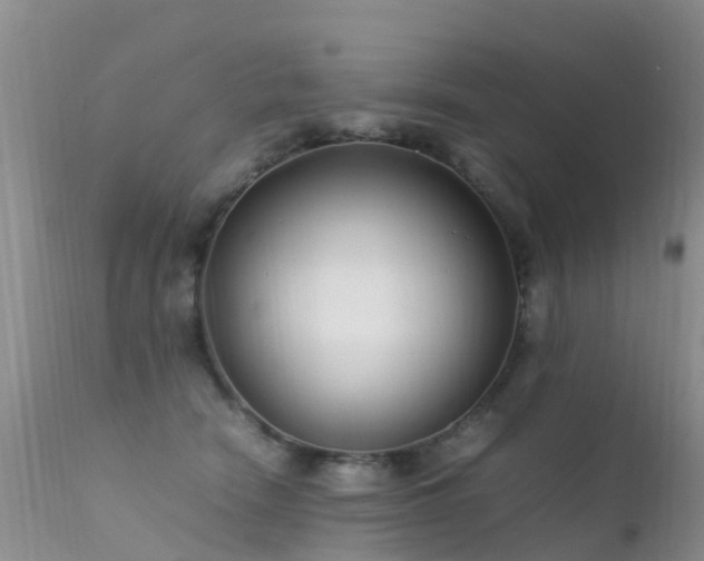 X0000112210466200908141502