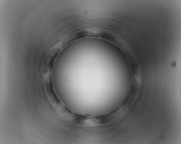 X0000112210468200908141502