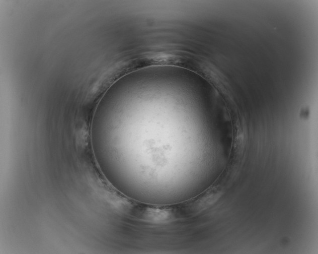 X0000112210469200908141502