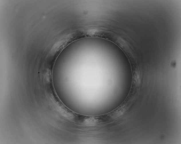 X0000112210470200908141502