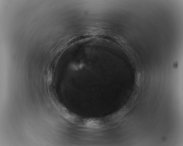 X0000112210471200908141502