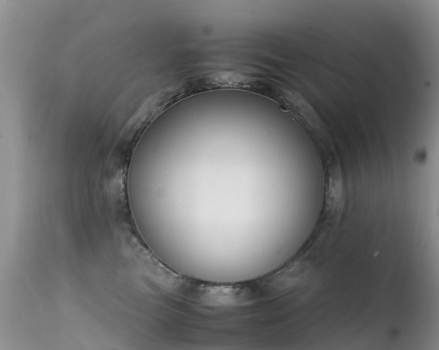 X0000112210473200908141502