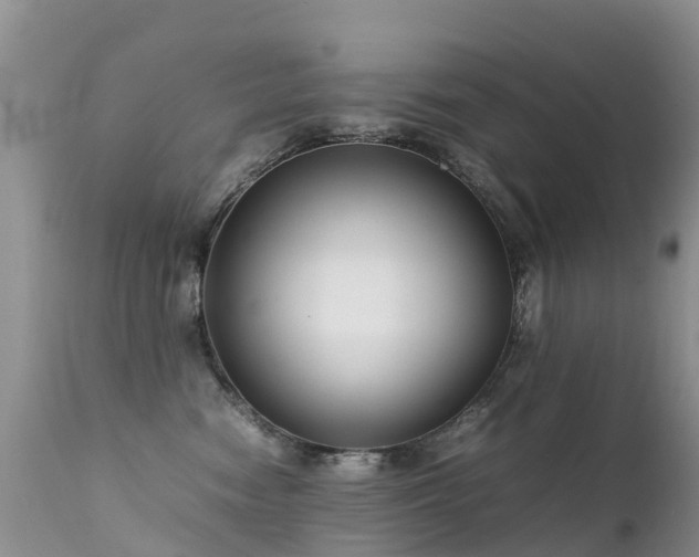 X0000112210474200908141502