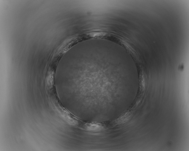 X0000112210475200908141502