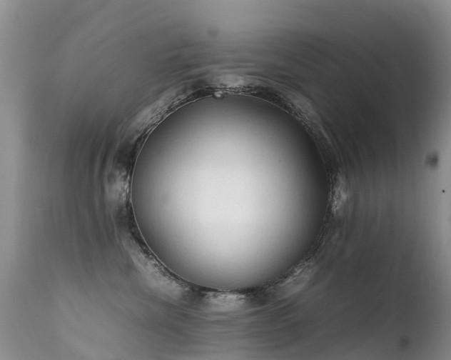 X0000112210476200908141502